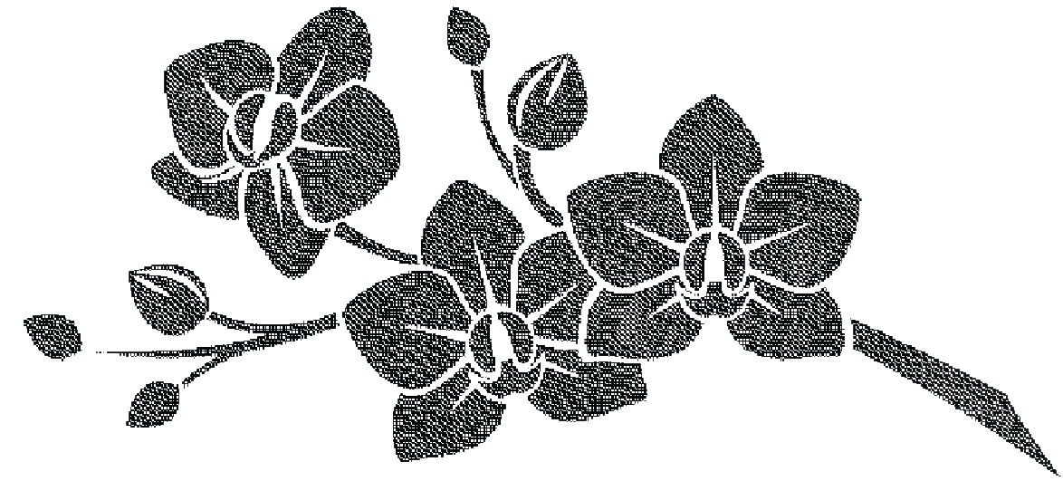 Mirabel's Canvas